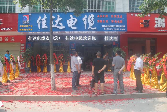 湖南污软件免费下载电线电缆有限公司,污软件免费下载电线电缆,污软件破解版永久免费版系列,控制电缆,电线电缆企业哪里好